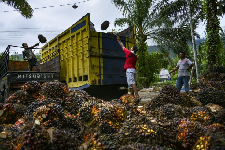 A slump in the price of commodities, including palm oil, put the brakes on Indonesian economic growth