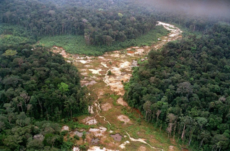 Aerial view of a patch of the Amazon rainforest deforested by gold mining in 1991