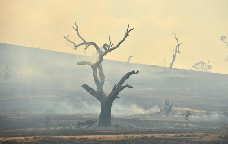 The devastating fires have raged since September, burning more than 10 million hectares (25 million acres) and killing 33 people