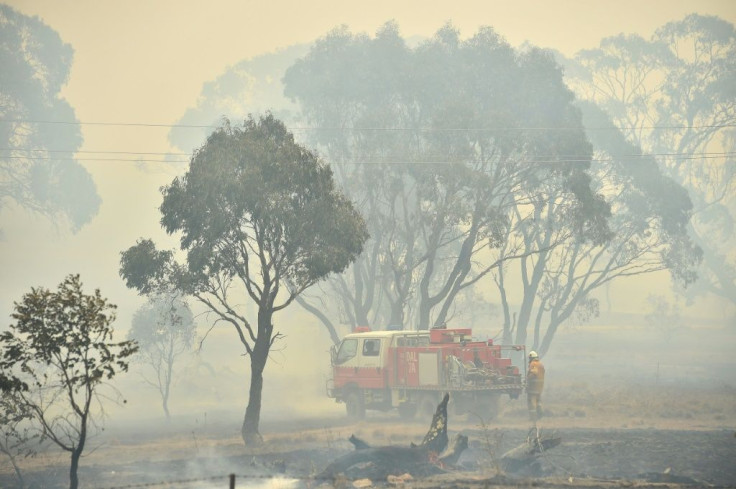 Beleaguered volunteer firefighters who have fought the blazes day-in-day-out say they are "over the moon" at the rain