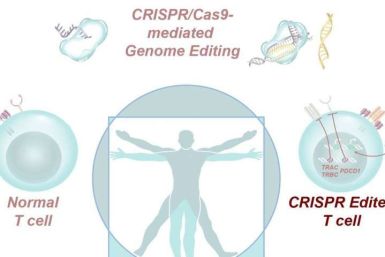 CRISPR Edited Gene Cells