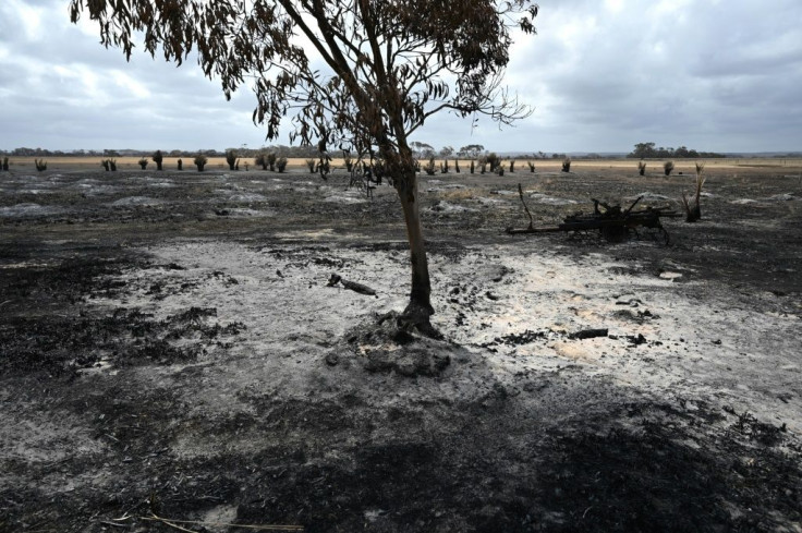 The catastrophic bushfires have left dozens dead and devastated vast swathes of the country since September