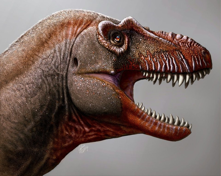 The study found that Thanatos had a long, deep snout, similar to more primitive tyrannosaurs that lived in the southern United States