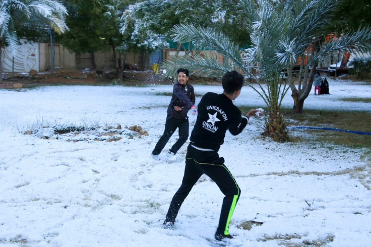 A snowball fight amid the palm trees -- young boys enjoy only the second snowfall in a century to carpet Baghdad and central Iraq