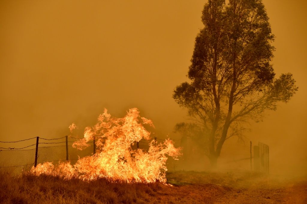 New South Wales Bushfires: Australian State Finally Exits ‘Traumatic ...