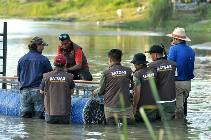 Australian crocodile wranglers Matthew Nicolas Wright (right) and Chris Wilson (left) directing the lndonesian team in setting the trap in the river in Palu