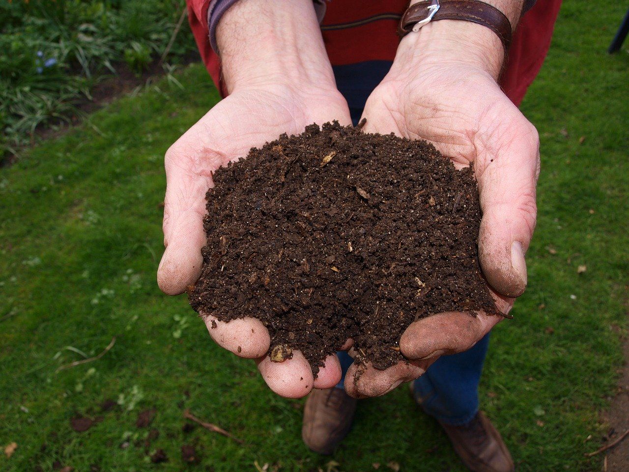 California s Newsom OKs Human Composting In Climate Change Effort 