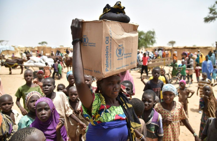 Hundreds of thousands of people in Diffa, southeastern Niger, depend on food handouts to survive (file picture)