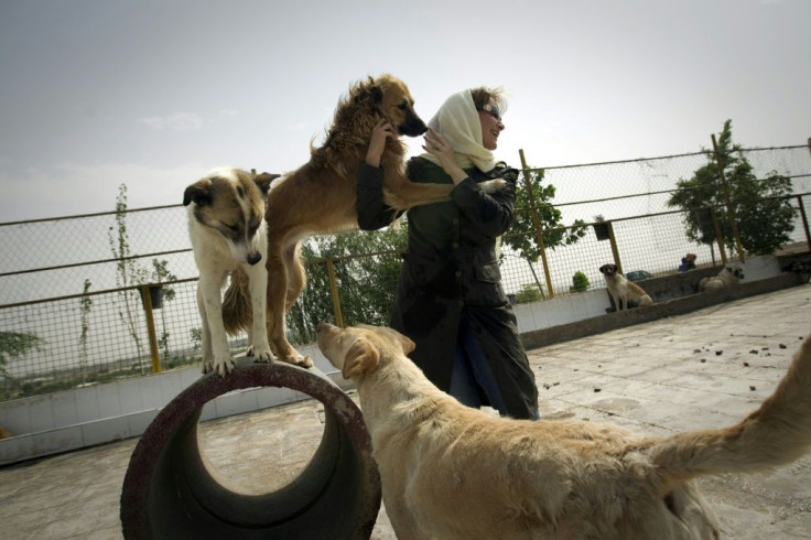 Dog lover Neda plays with stray canines at the Vafa animal shelter in Hashtgerd, Iran in June 2011