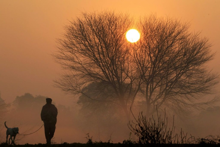 A man and his dog are silhouetted against the rising sun amid dense fog on a cold winter morning on the outskirts of Chandigarh on February 9, 2020