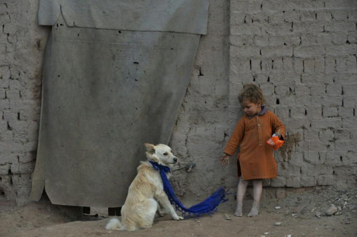 In wealth and in poverty: dogs and their human companions live together around the world, even outside this temporary home on the outskirts of Jalalabad, Afghanistan