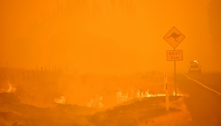 Australia has seen dozens of inquests into the causes of bushfires and steps that could be taken to mitigate them, with mixed results