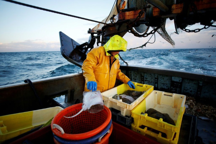 Many French fishing boats garner the bulk of their catch in the thriving waters off Britain.