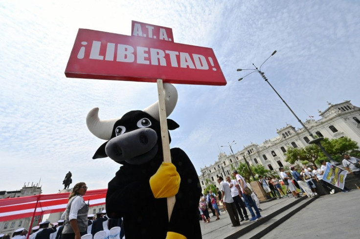 Bull and cock fighting have been popular activities in Peru since the Spanish colonization