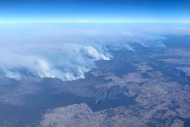 Climate scientists are currently examining data from the disaster, which saw swathes of southeastern Australia destroyed, to determine to what extent they can be attributed to rising temperatures