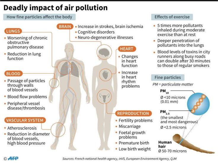 PM2.5 pollution is small enough to enter the bloodstream via the respiratory system, leading to asthma, lung cancer and heart disease