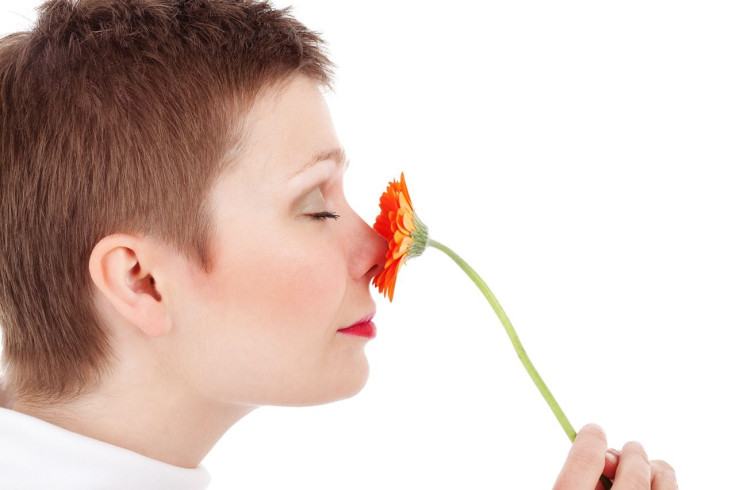 sense of smell and longevity