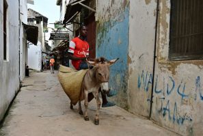 Kenya has decided to ban the slaughter of donkeys for use in Chinese medicine