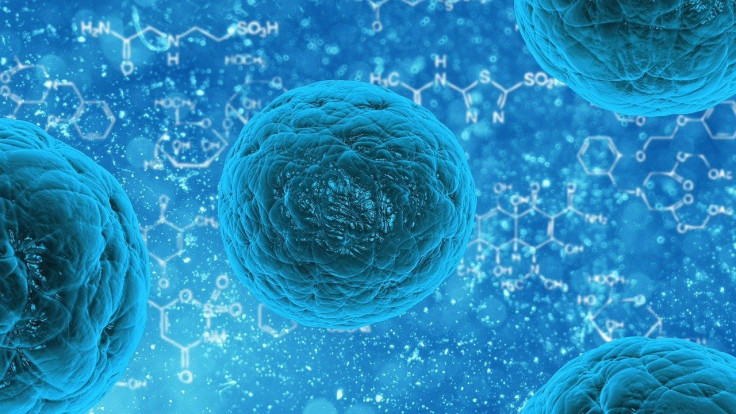 yaravirus vs coronavirus