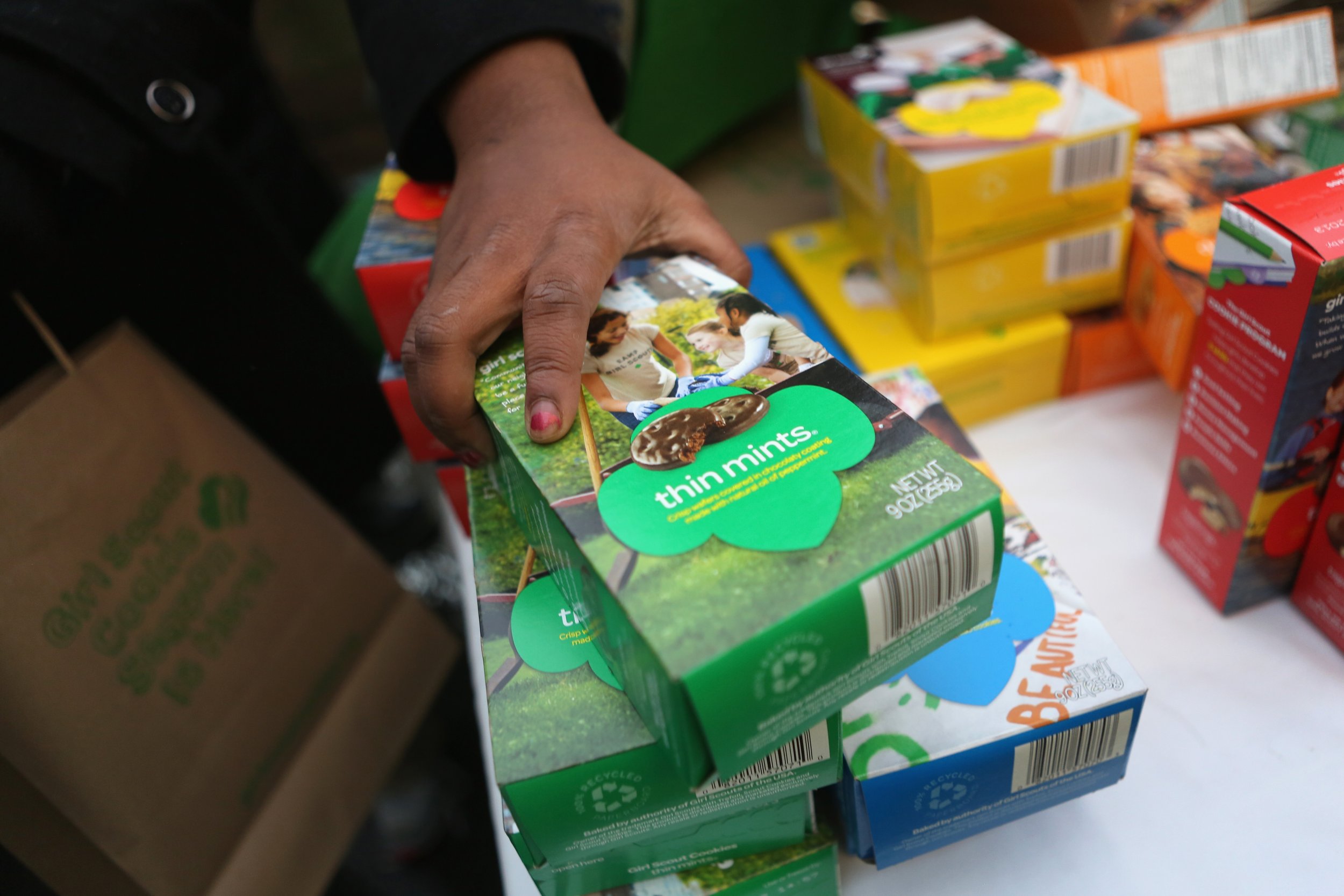 Girl Scout Cookie Season 2023 Full Menu, Prices, How To Order A Box