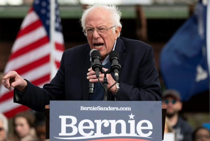 Bernie Sanders, frontrunner for the Democratic presidential nomination, has come under criticism from establishment Democrats for his liberal positions, which they feel will make him vulnerable to President Donald Trump in the November 2020 election