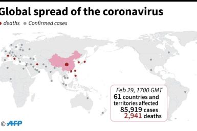 Countries and teritories with confirmed cases of the new coronavirus as of February 29 at 17:00 GMT.