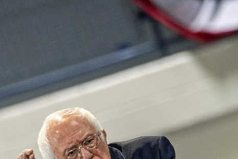 Democratic White House hopeful Bernie Sanders said the US needs "a foreign policy that not only protects Israel but deals with the suffering of the Palestinian people as well"