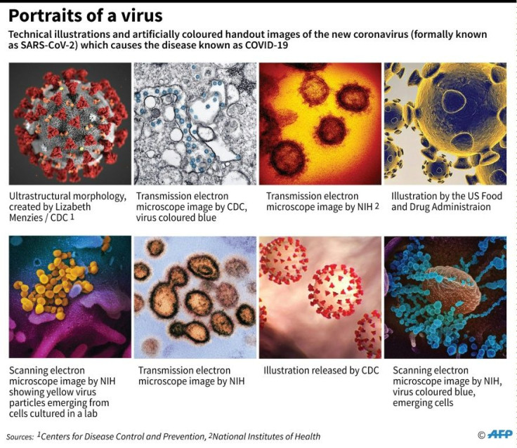 Technical illustrations and artificially coloured handout images of the new coronavirus (formally known as SARS-CoV-2) which causes the disease known as COVID-19.