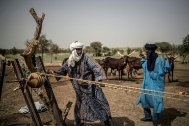 The impact of climate change has caused conditions in northern Nigeria to worsen