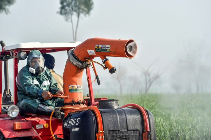 The pesticides used by officials are also dangerous for consumption, so even when the locusts are dead the remaining crops have to be discarded