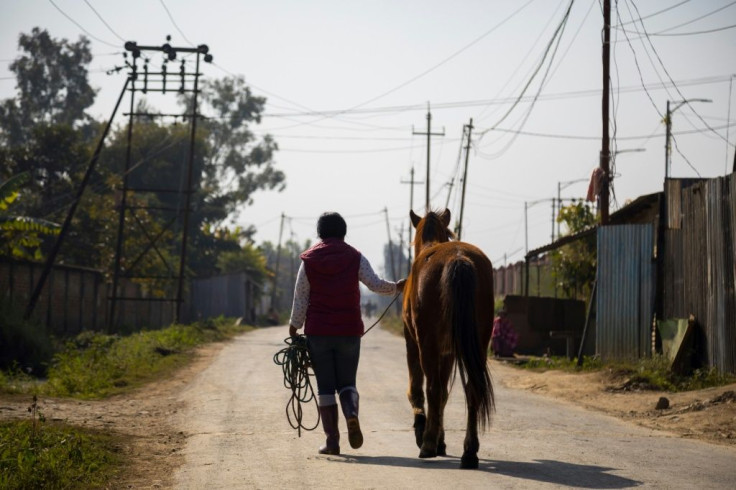 The female players also play a central role in caring for the ponies