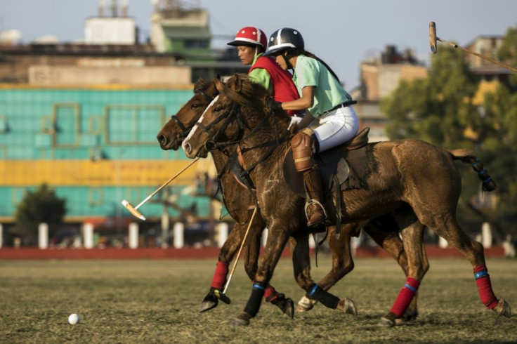 Manipur ponies are regarded as sacred in the state