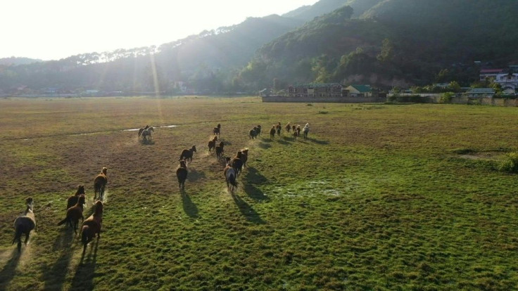 In the remote Indian state of Manipur, polo dates back centuries - it was there that it came to the attention of British colonialists who formalised the sport as polo, and spread it around the world. Now a group of women players are challenging the rural