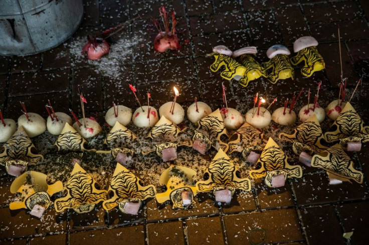 Paper tigers, representing bad luck, are fed pork to satisfy their hunger and prevent quarrelling