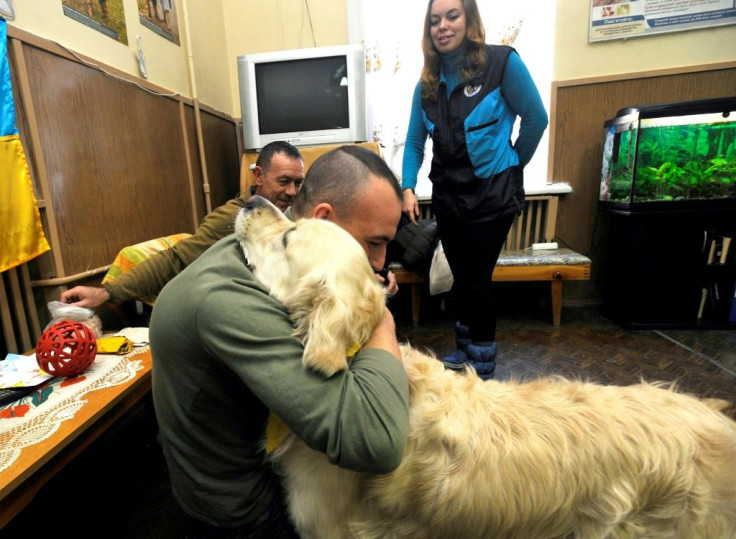 Former Minister for Veterans' Affairs Oksana Kolyada looks on as a soldier who was admitted for treatment, plays with "therapy dog" Ricky, who helps him overcome his post-conflict trauma