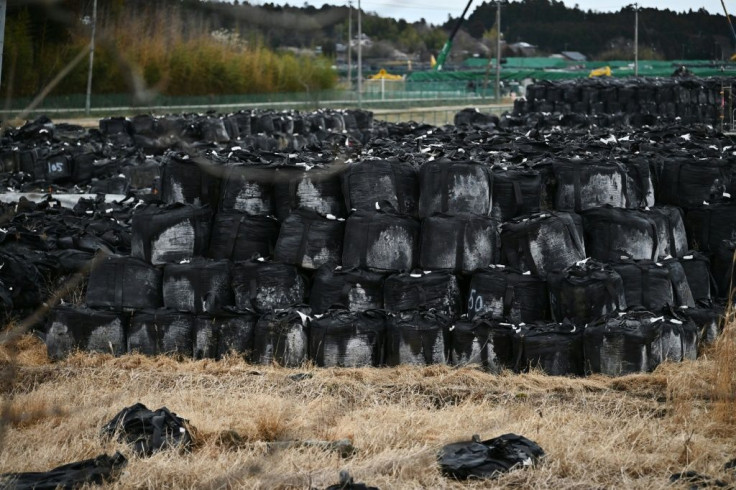 Japan's government has carried out extensive decontamination efforts in the area affected by the disaster, removing topsoil