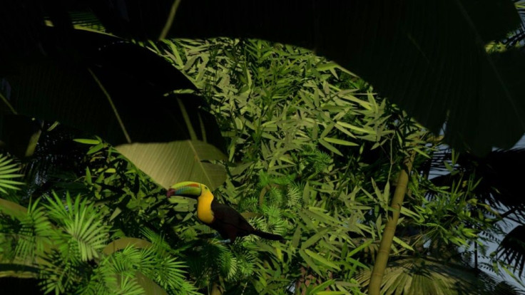 The world's tropical forests are rapidly losing their ability to absorb carbon dioxide from greenhouse gas emissions