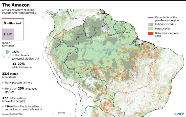 The Amazon's dense tropical canopy stores a huge amount of carbon and soaks up 25 to 30 percent of the CO2 humanity spews into the atmosphere
