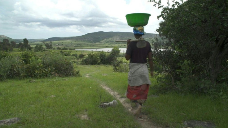 A VOICED AFPTV REPORTMousaka Fernanda, a farmer in Angola's rural south, works her land to feed a family of close to ten. But with dramatic shifts in the weather and her husband far away in the city, it's an ever-harder task to put food on the table.