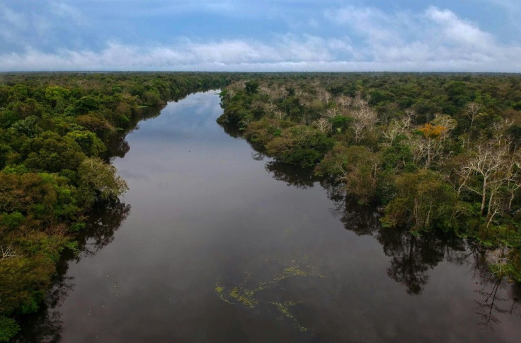An indigenous rights NGO says that an evangelical Christian group, one of whose missionaries has been appointed to head Brazil's federal agency for indigenous affairs, could put isolated Amazon tribes at risk of harmful contact with the outside world