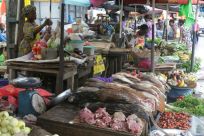 A market in Gabon's capital where bushmeat is sold, including pangolins, whose popularity has plummeted since it was blamed for transmitting coronavirus to humans