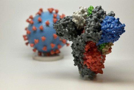 A 3D print of a spike protein of SARS-CoV-2, the virus that causes COVID-19 -- in front of a 3D print of a SARS-CoV-2 virus particle