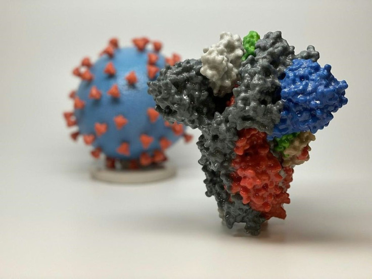 A 3D print of a spike protein of SARS-CoV-2, the virus that causes COVID-19 -- in front of a 3D print of a SARS-CoV-2 virus particle