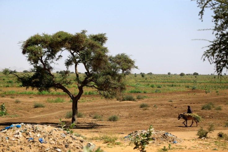 According to the UN, the conflict in Darfur has resulted in about 300,000 deaths and more than 2.5 million displaced people since 2003