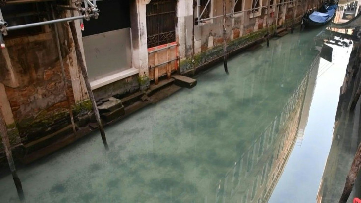 The water in the Venice canals is becoming clearer as the city experiences a drop in tourism and reduction in canal traffic due to the health security measures imposed across Italy to fight the spread of the coronavirus.