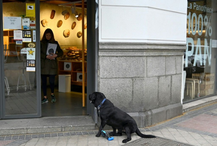 Walking the dog used to be a twice-daily chore for owners -- but under the coronavirus lockdown it has become a get out of jail card, allowing this owner to nip to the baker's in Madrid