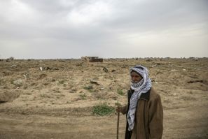 Farmer Hamad al-Ibrahim stands in his damaged fields in the eastern Syrian village of Baghouz