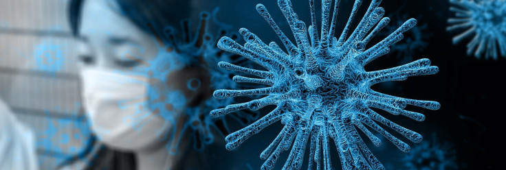 Where did the term coronavirus come from?