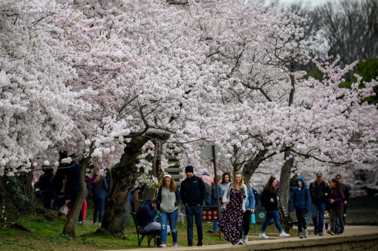 Enough people were passing each other on the busy sidewalks to render the recommended six-foot (two-meter) berth nearly impossible