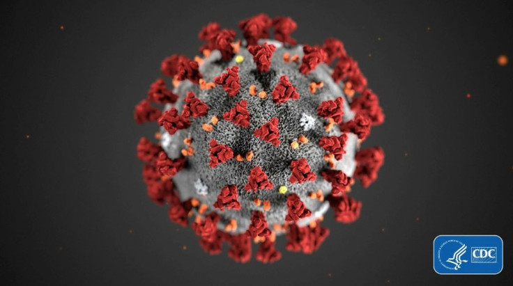 A crowdsourced computing project aims to find pockets or "holes" in the coronavirus which can be attacked with drugs